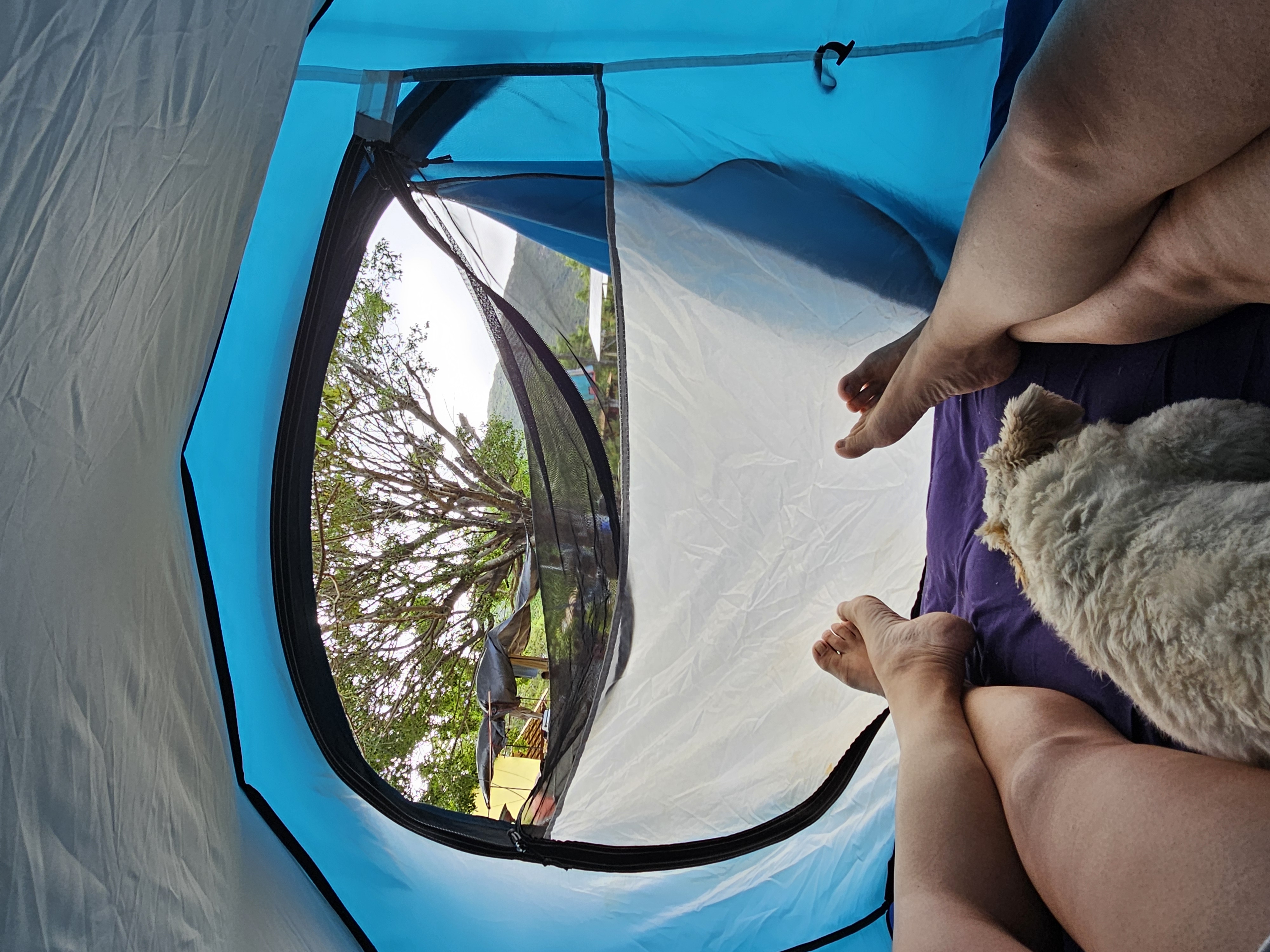 Camping Carnaval 2025